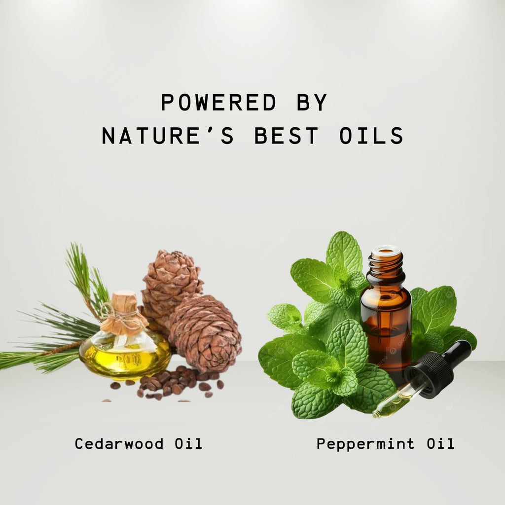 Abeers Hair Revitalizer C8 Serum