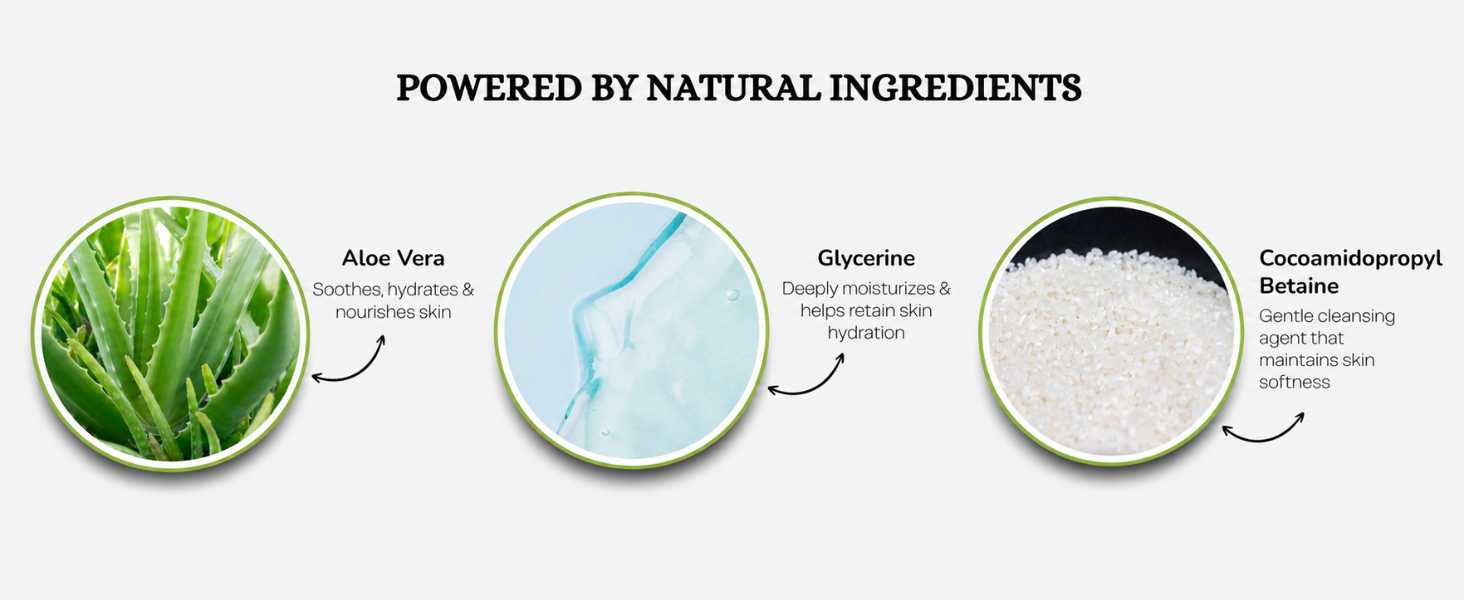Aloe Gentle Face Cleanser
