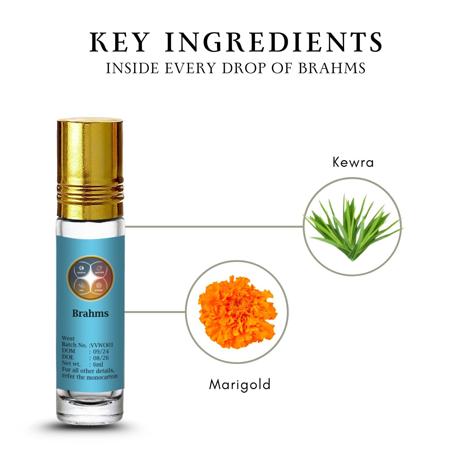 Vaastu Vaidyam Essential Oil Roll-Ons 30ml (5 x 6ml)