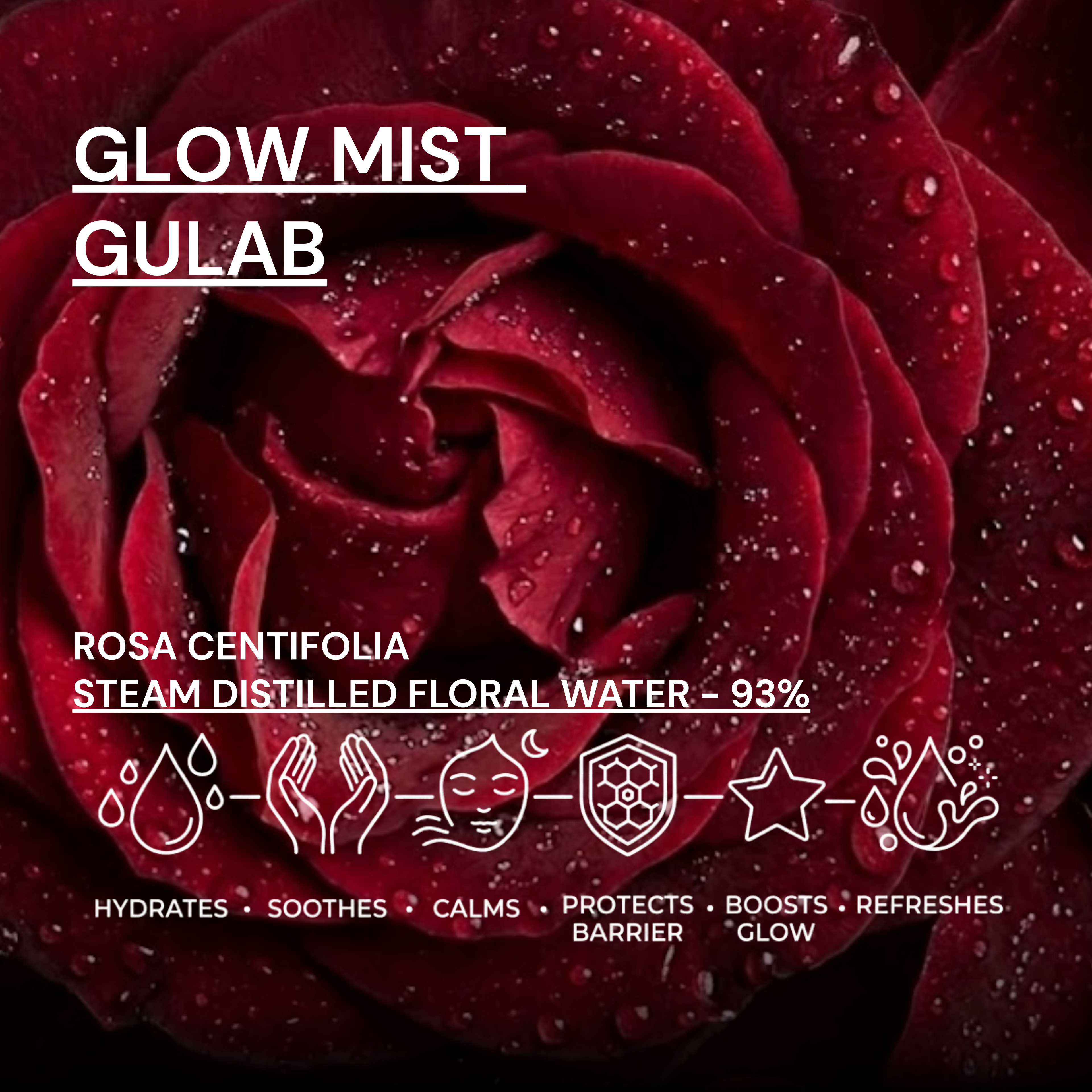 Glow Mist Gulab