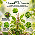 Abeers Panch Tulsi Drops