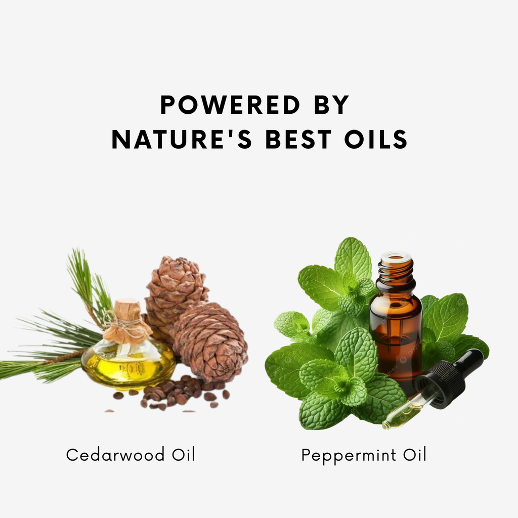 Hair Scalp Night Serum