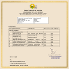 Reuma Oil for Joint & Muscle Pain Relief